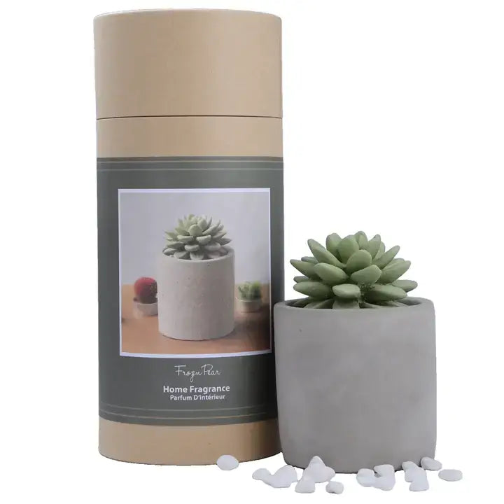 Succulent in Planter Diffuser Gift Set for Home Decor: CITRUS VERBENA