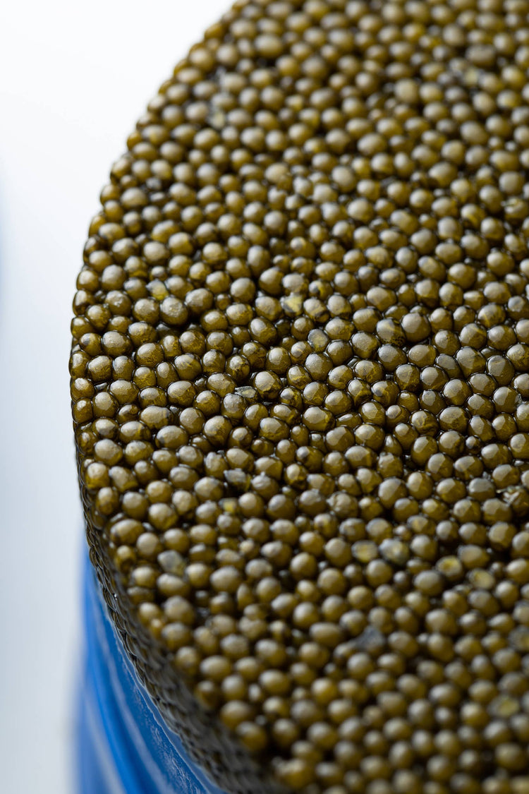 Regiis Ova Ossetra Caviar: 30g