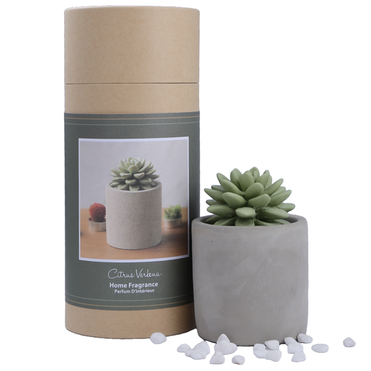 Succulent in Planter Diffuser Gift Set for Home Decor: SWEET ORANGE CEDAR