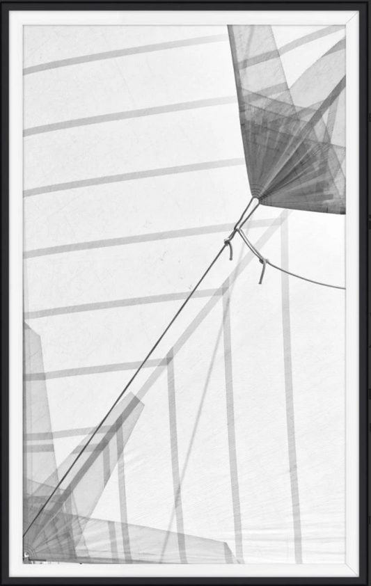 Regatta Lines IX