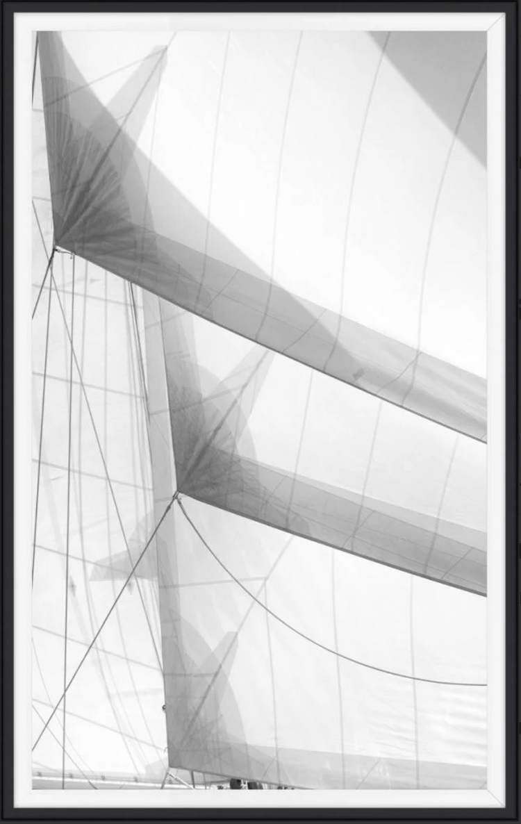 Windward Study VIII