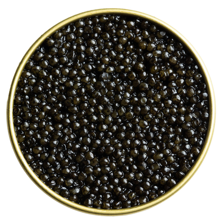 Regiis Ova Siberian Baerii Caviar: 30g