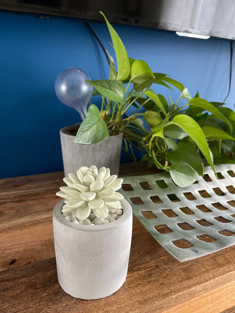 Succulent in Planter Diffuser Gift Set for Home Decor: SWEET ORANGE CEDAR