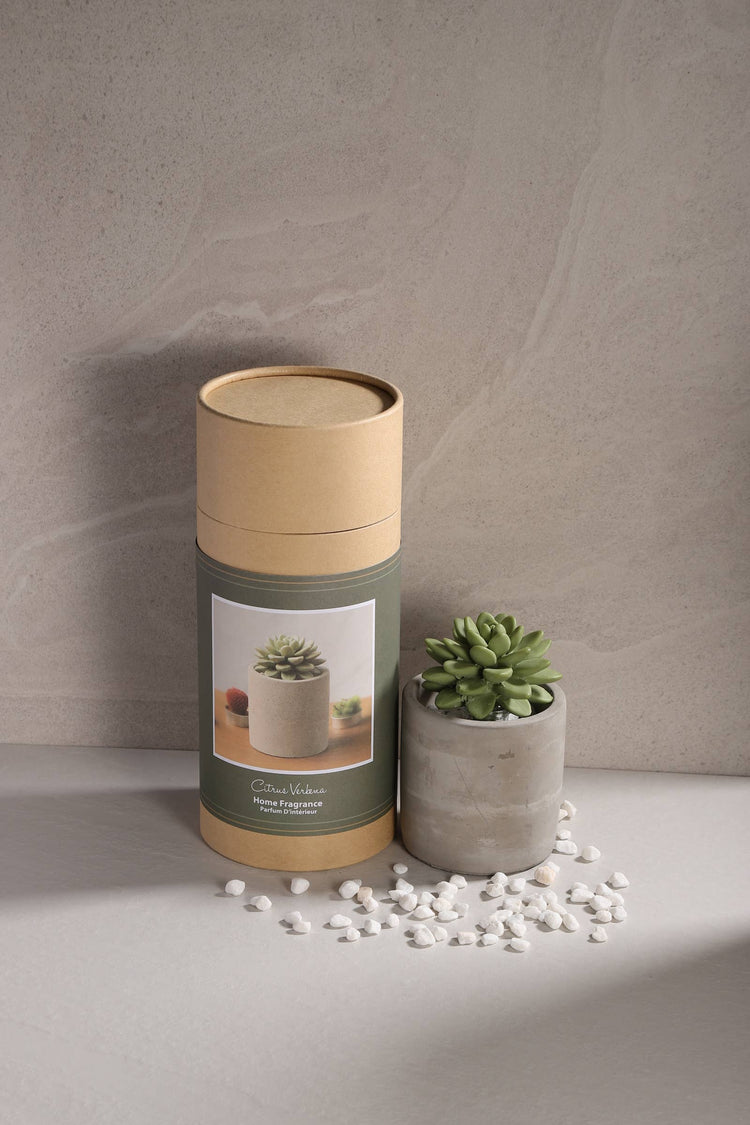 Succulent in Planter Diffuser Gift Set for Home Decor: CITRUS VERBENA