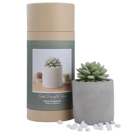 Succulent in Planter Diffuser Gift Set for Home Decor: SWEET ORANGE CEDAR