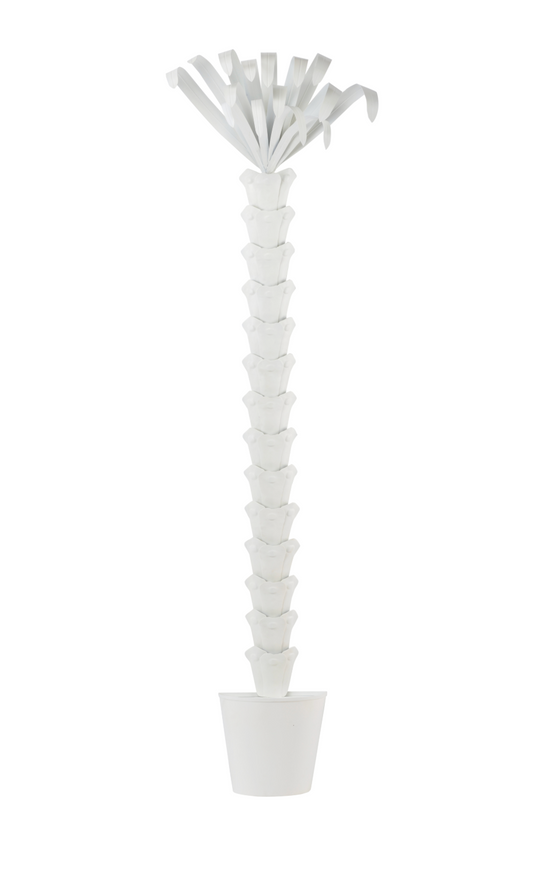 Palm Tree/Off White Lacquer