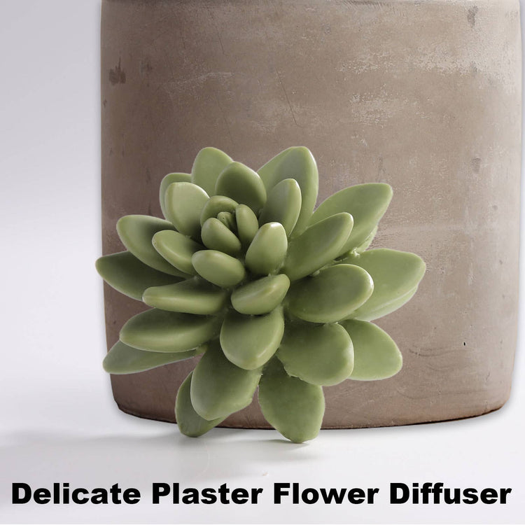 Succulent in Planter Diffuser Gift Set for Home Decor: SWEET ORANGE CEDAR