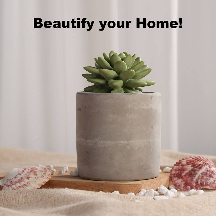 Succulent in Planter Diffuser Gift Set for Home Decor: SWEET ORANGE CEDAR